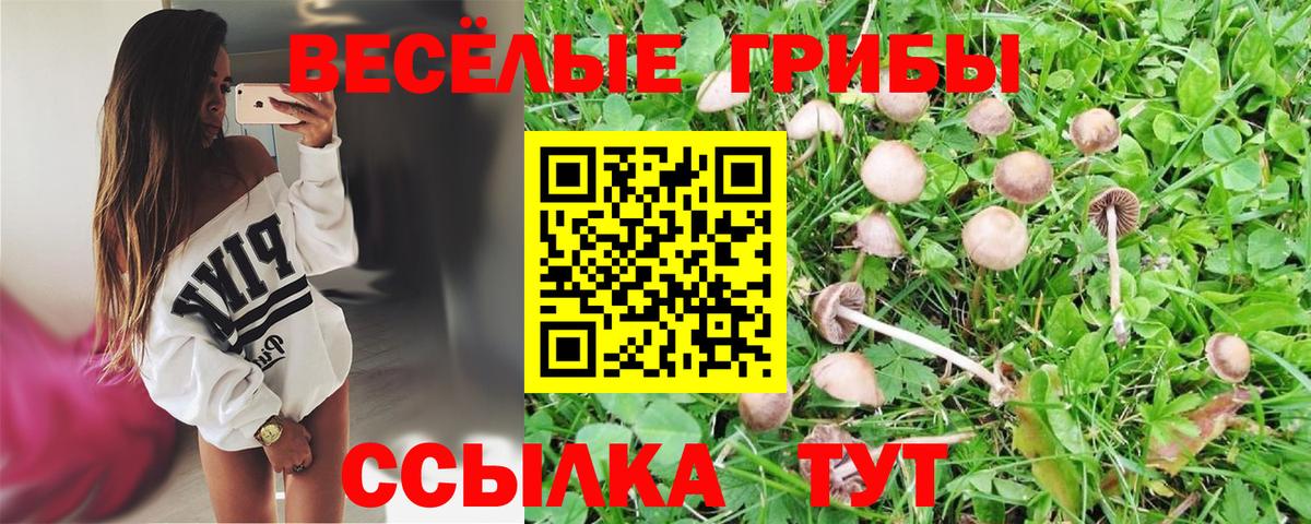 Псилоцибиновые грибы Magic Shrooms  Вход с VPN  Кувандык  Псилоцибиновые грибы MAGIC MUSHROOMS 